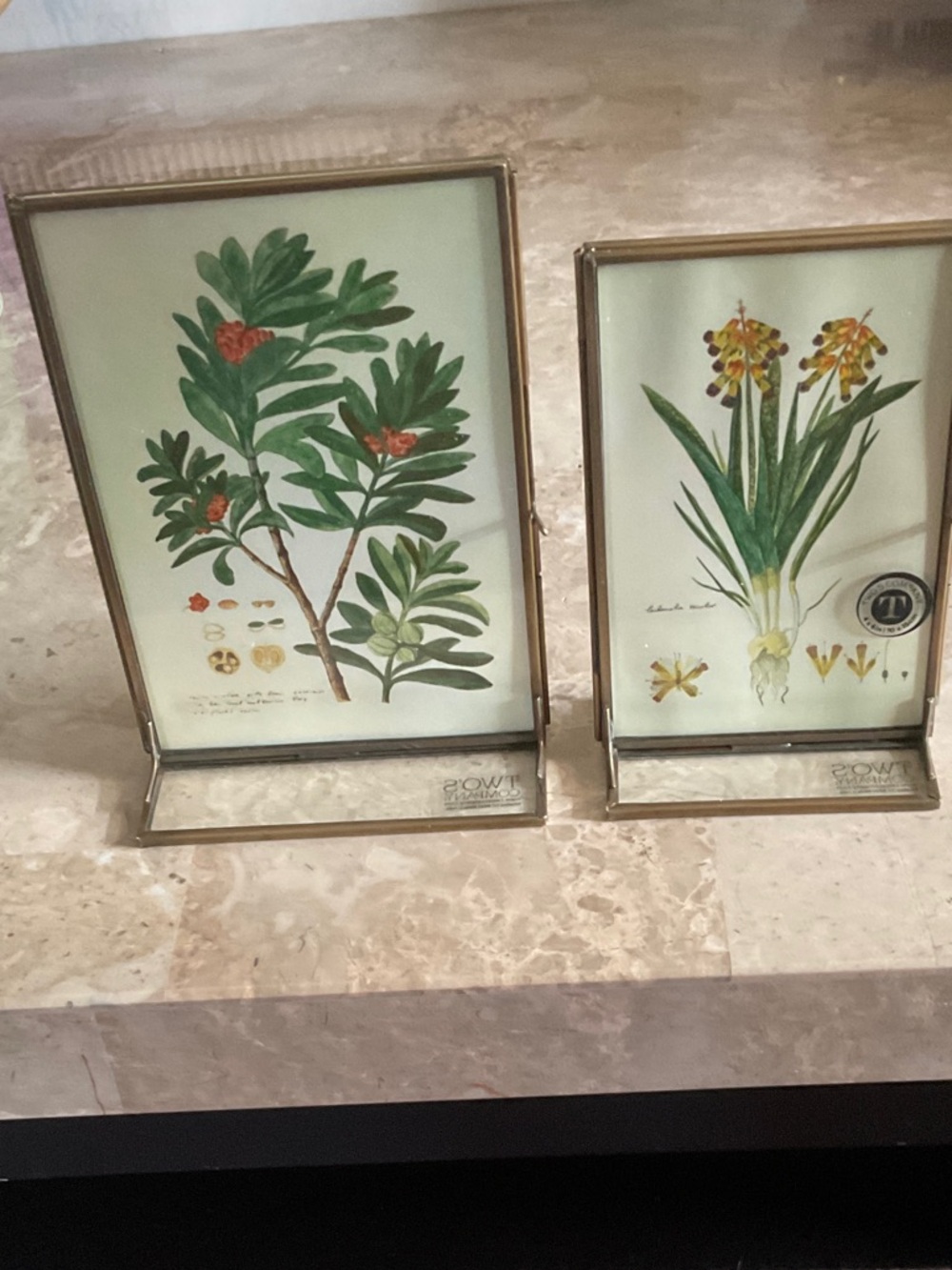 TWO’s Company Frames Botanical Prints or Your Photos